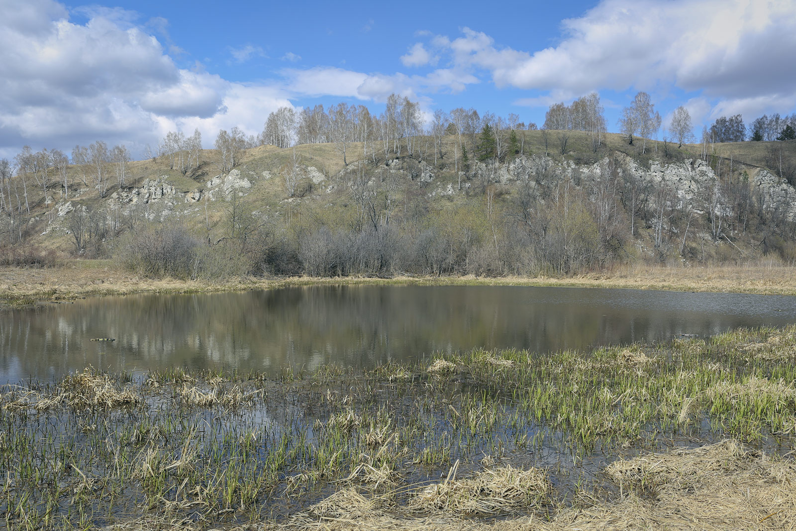 Спасская гора и её окрестности, image of landscape/habitat.