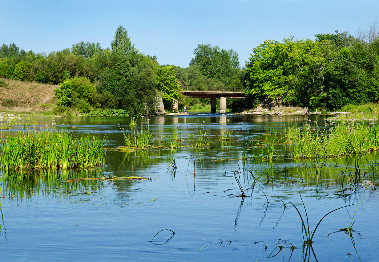 Окрестности деревни Карнаухово, image of landscape/habitat.