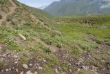 Урочище Хогес, image of landscape/habitat.