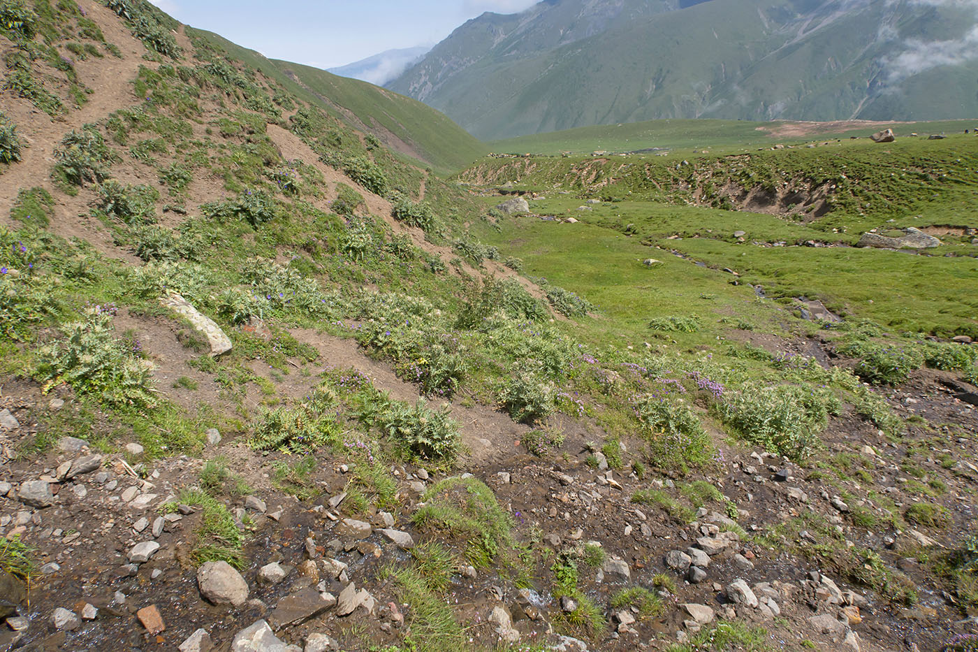 Урочище Хогес, image of landscape/habitat.