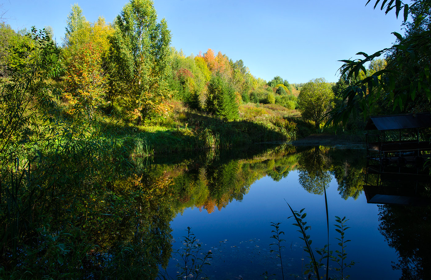 Бобки, изображение ландшафта.