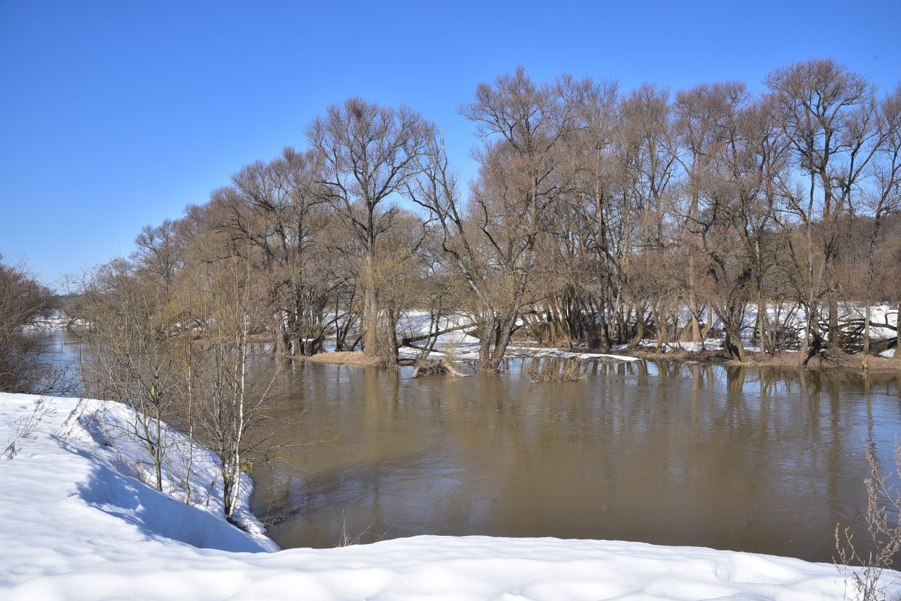Окрестности деревни Сатино, image of landscape/habitat.