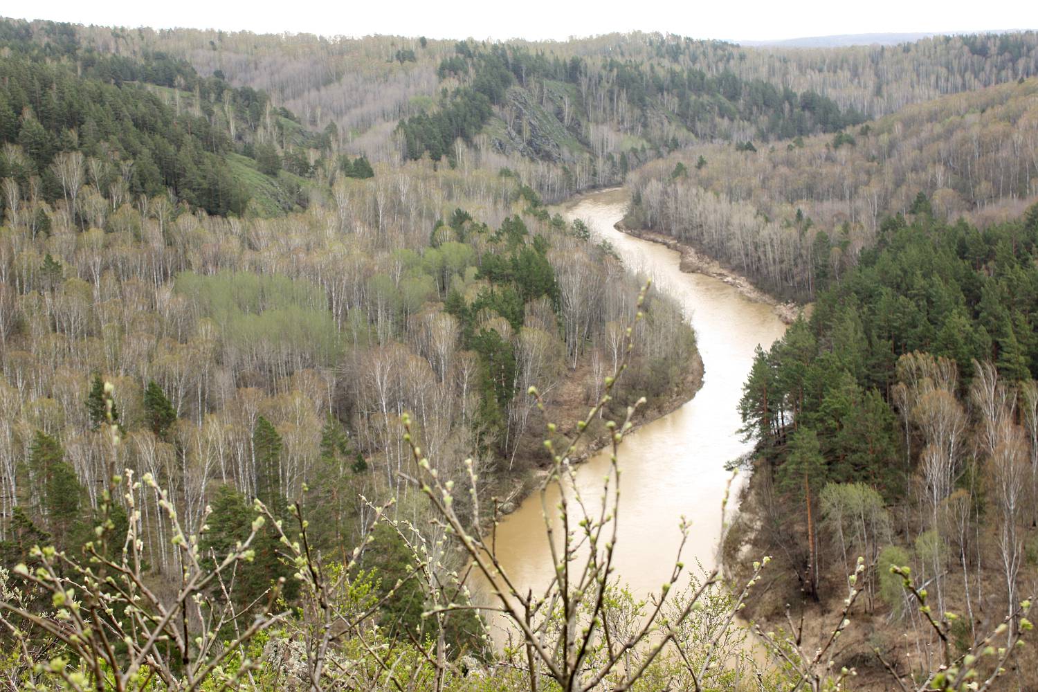 Бердские скалы, image of landscape/habitat.