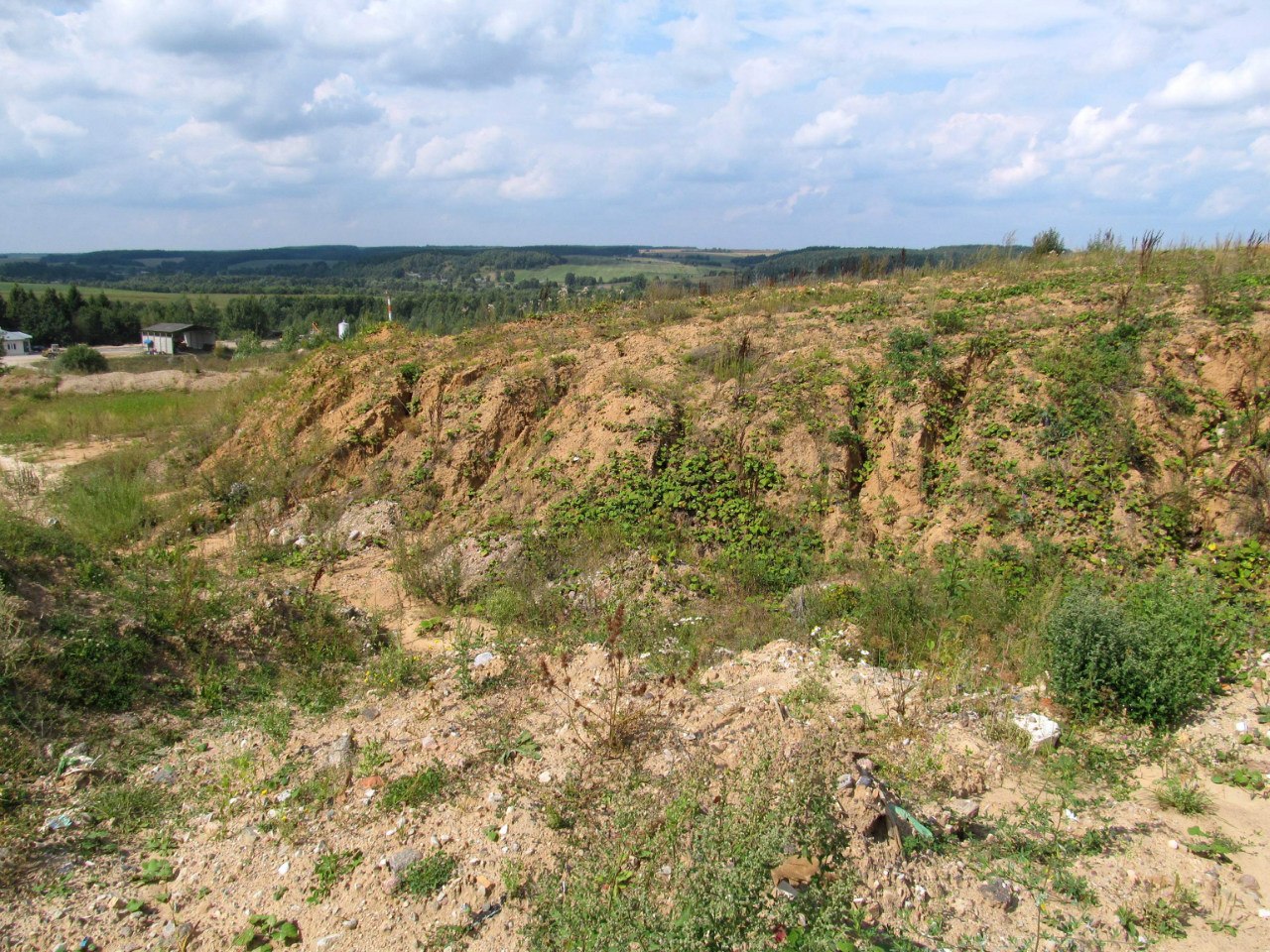 Песчаный карьер "Рутковское", image of landscape/habitat.