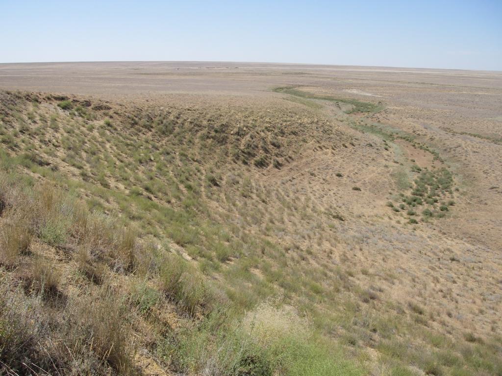 Зимовка Таскора, image of landscape/habitat.