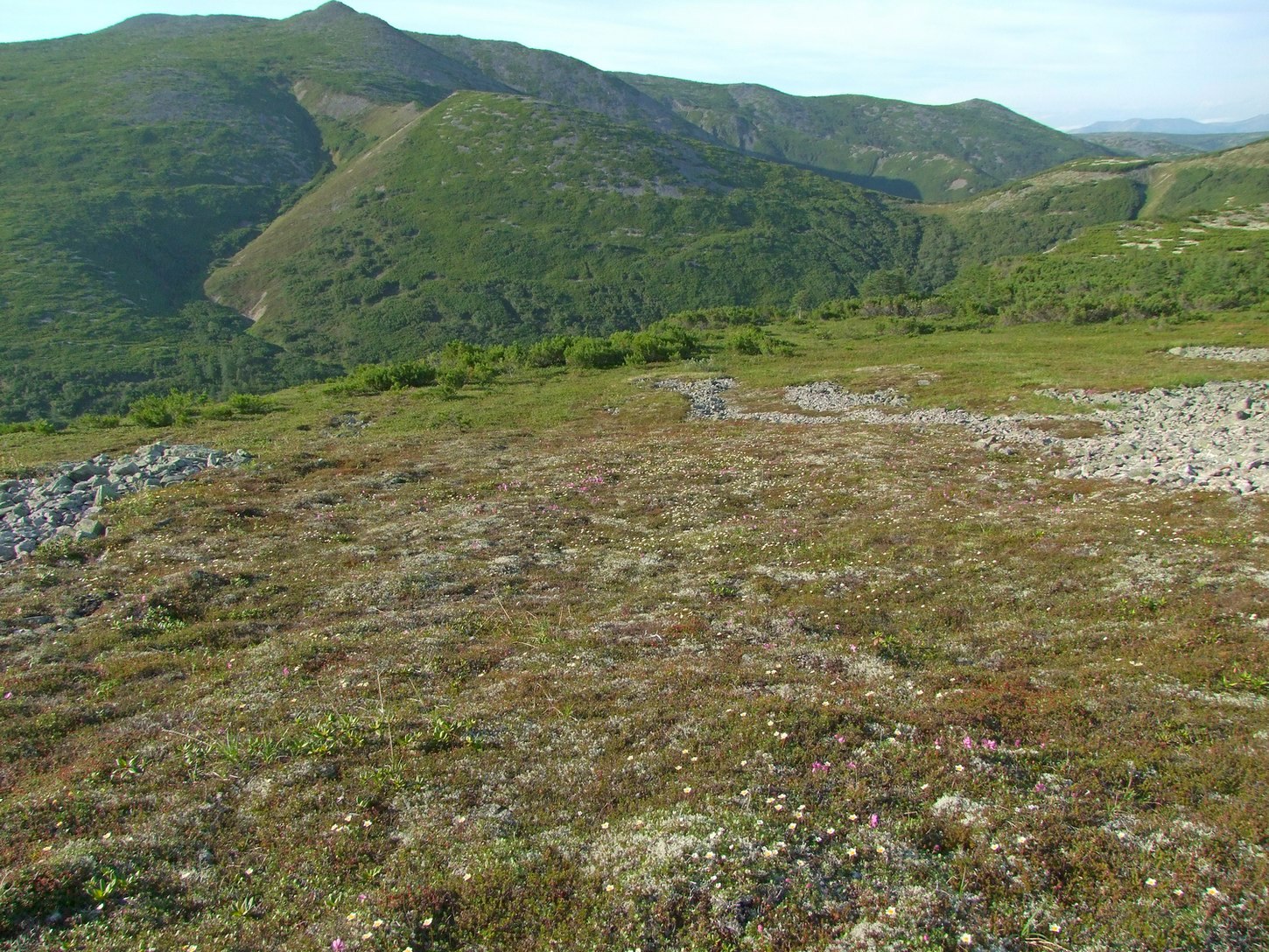Водораздел Дукчи и Омчика, image of landscape/habitat.