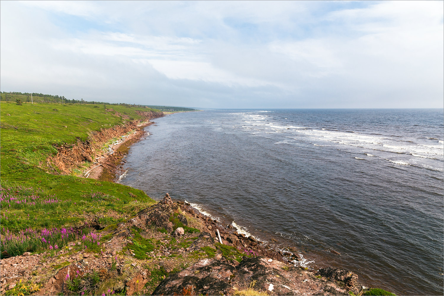 Аметистовый берег, image of landscape/habitat.