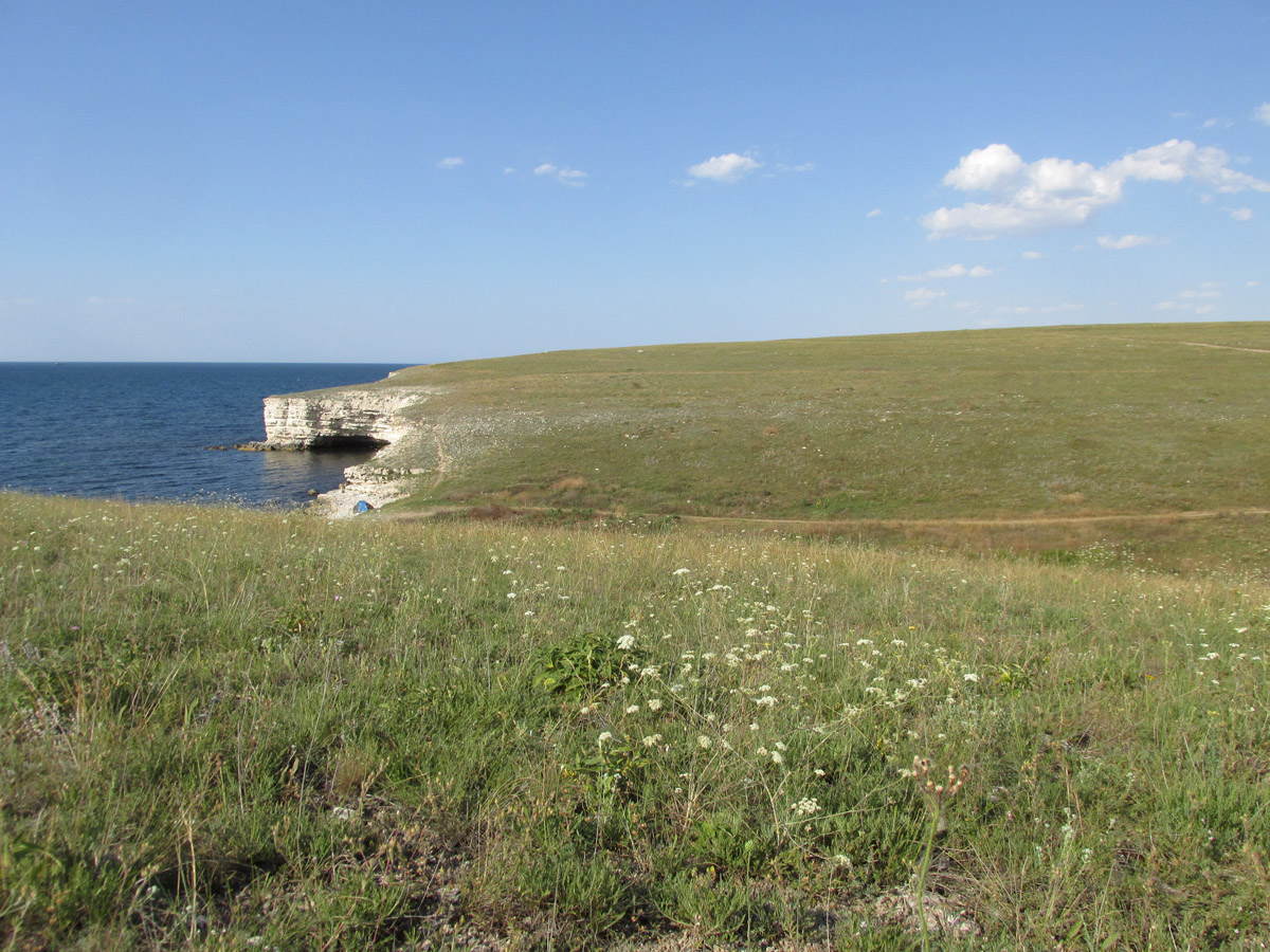 Большой Кастель, image of landscape/habitat.