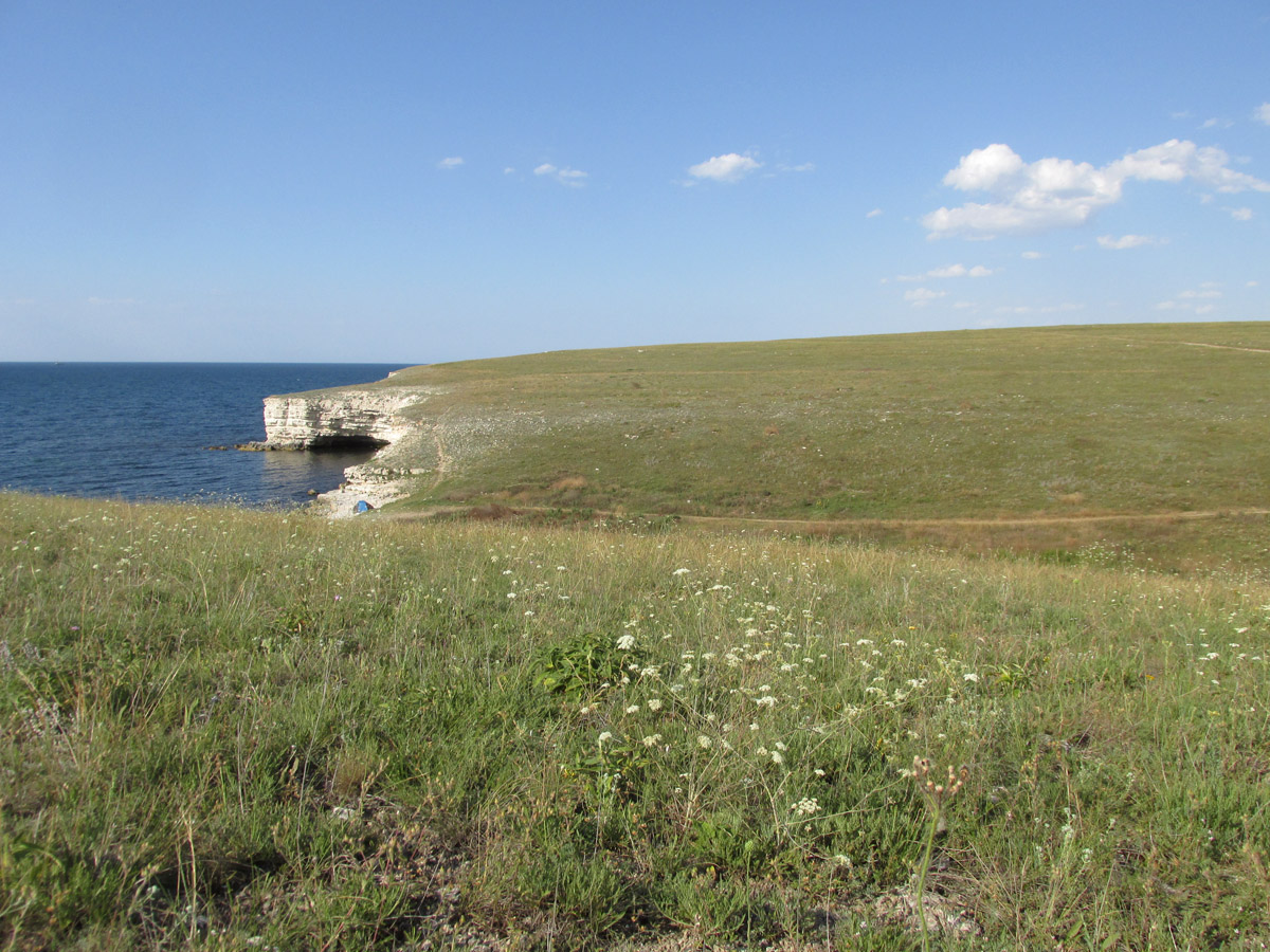 Балка Калоша, image of landscape/habitat.