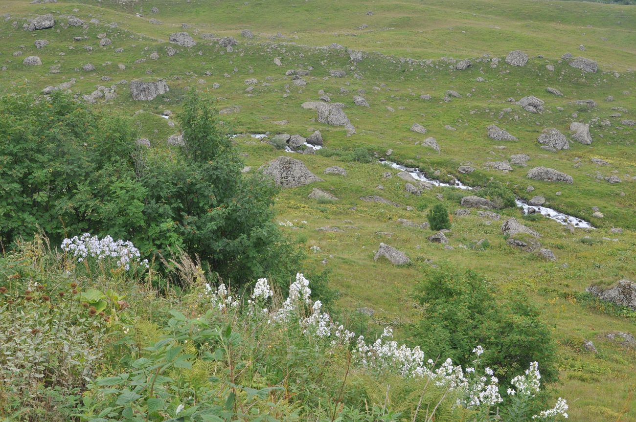 Окрестности села Рошка, image of landscape/habitat.