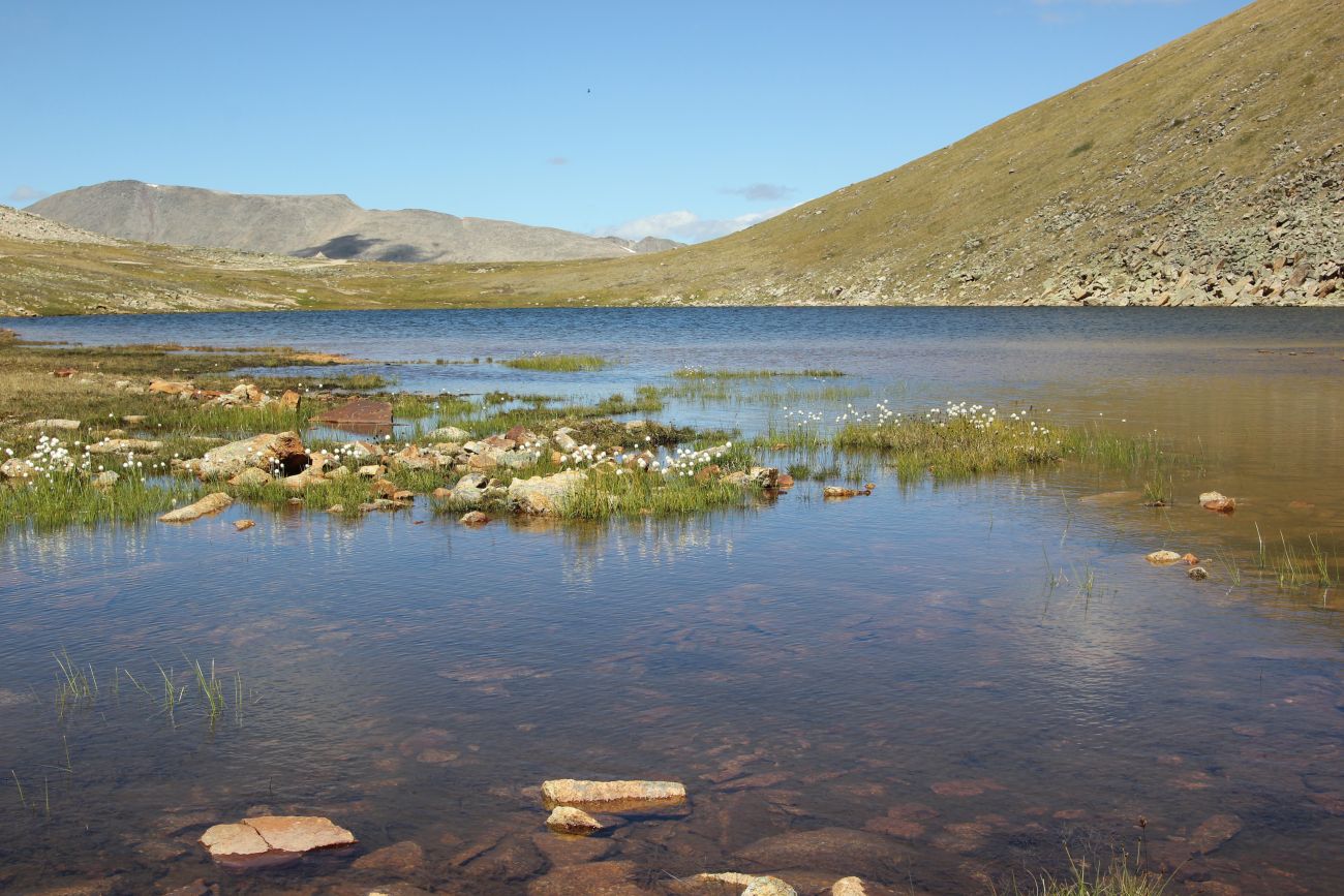 Перевал Тёплый Ключ, image of landscape/habitat.