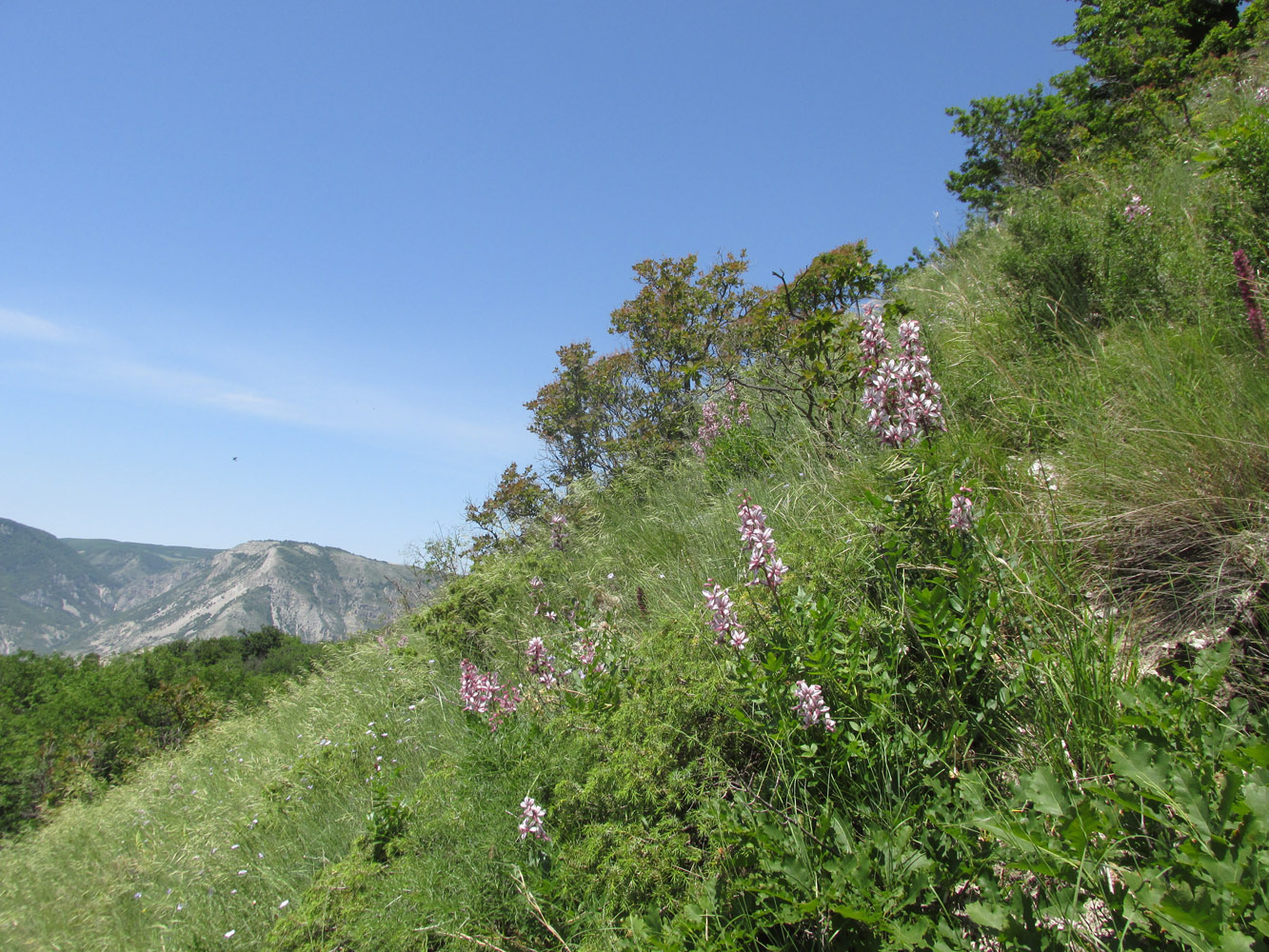 Сулакский каньон, image of landscape/habitat.