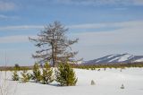 Акбура, image of landscape/habitat.