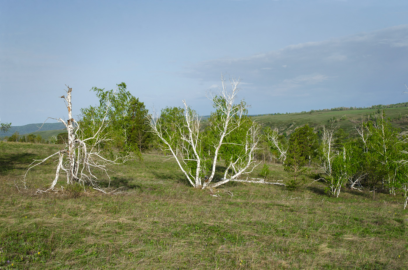 Акназарово и окрестности, image of landscape/habitat.