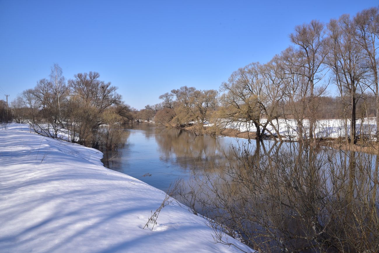 Окрестности деревни Сатино, image of landscape/habitat.