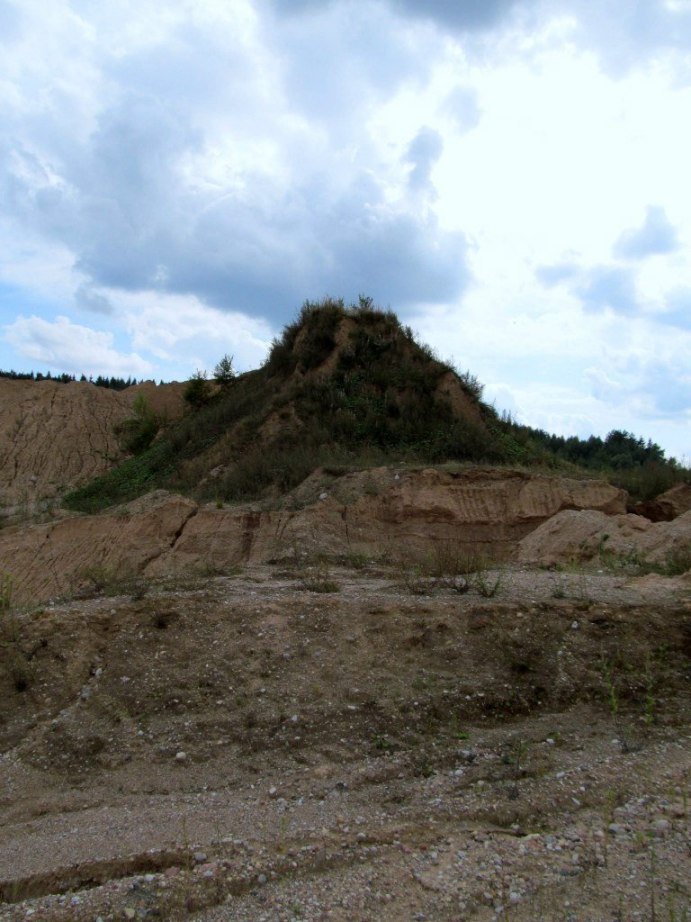 Песчаный карьер "Рутковское", image of landscape/habitat.