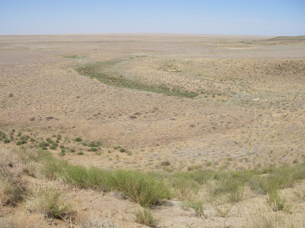 Зимовка Таскора, image of landscape/habitat.