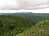 Калым, image of landscape/habitat.