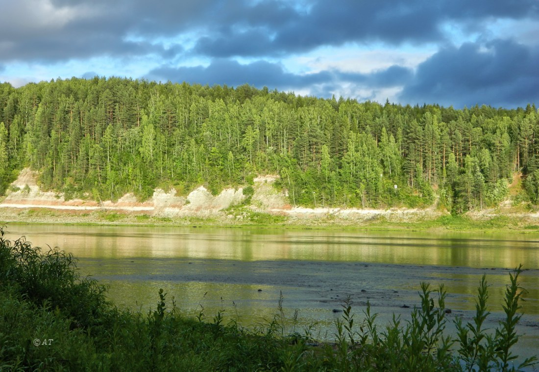 Устье Верхней Ёрги, image of landscape/habitat.