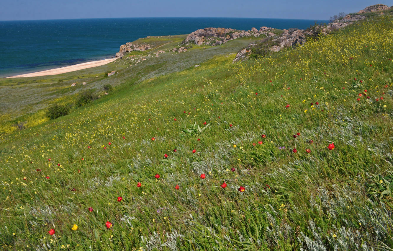 Бухта Шелковица и окрестности, image of landscape/habitat.