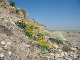 Image of landscape
