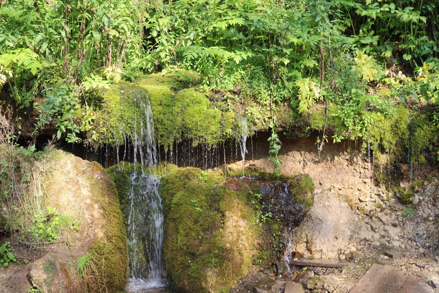 Звёздный ключ, image of landscape/habitat.