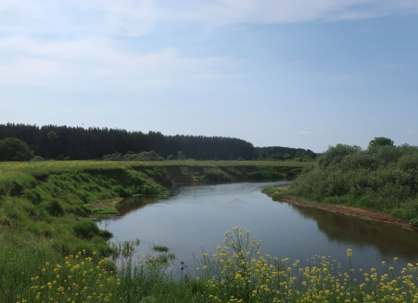 Дуденёвский заказник и р. Тьма, image of landscape/habitat.