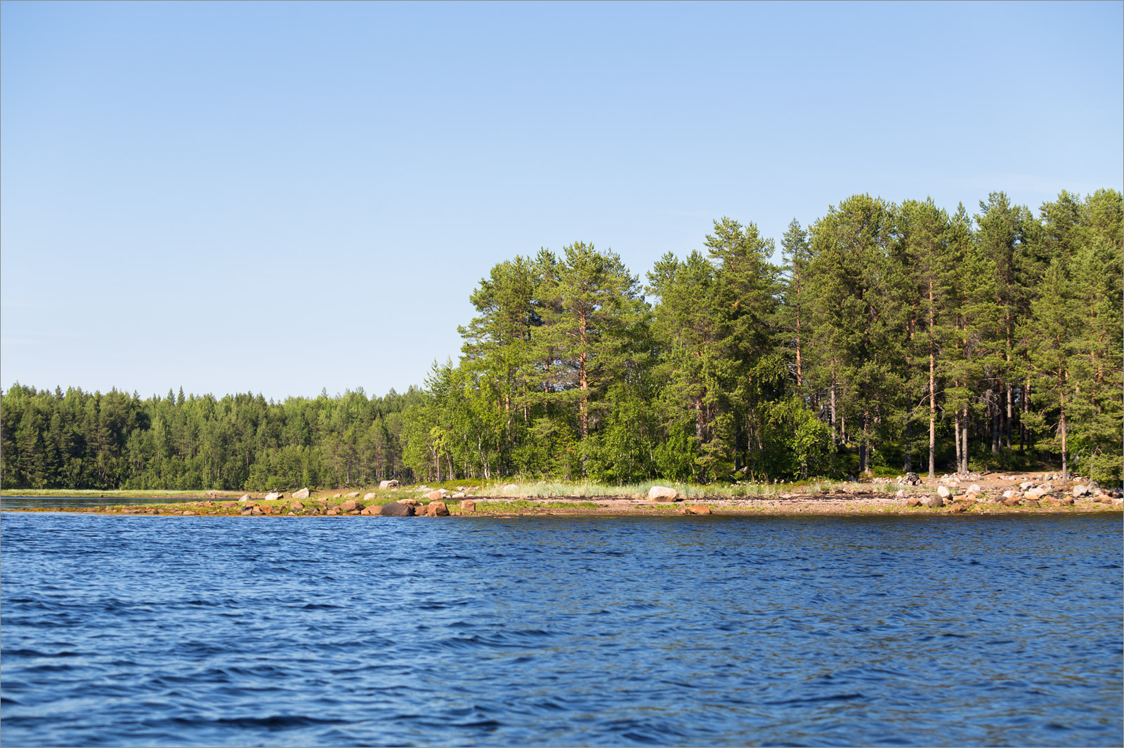 Матрёнин остров, image of landscape/habitat.