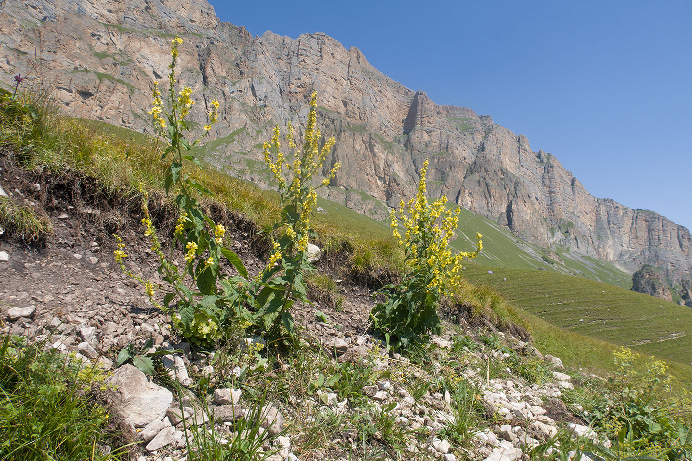Хазнидонская теснина, image of landscape/habitat.