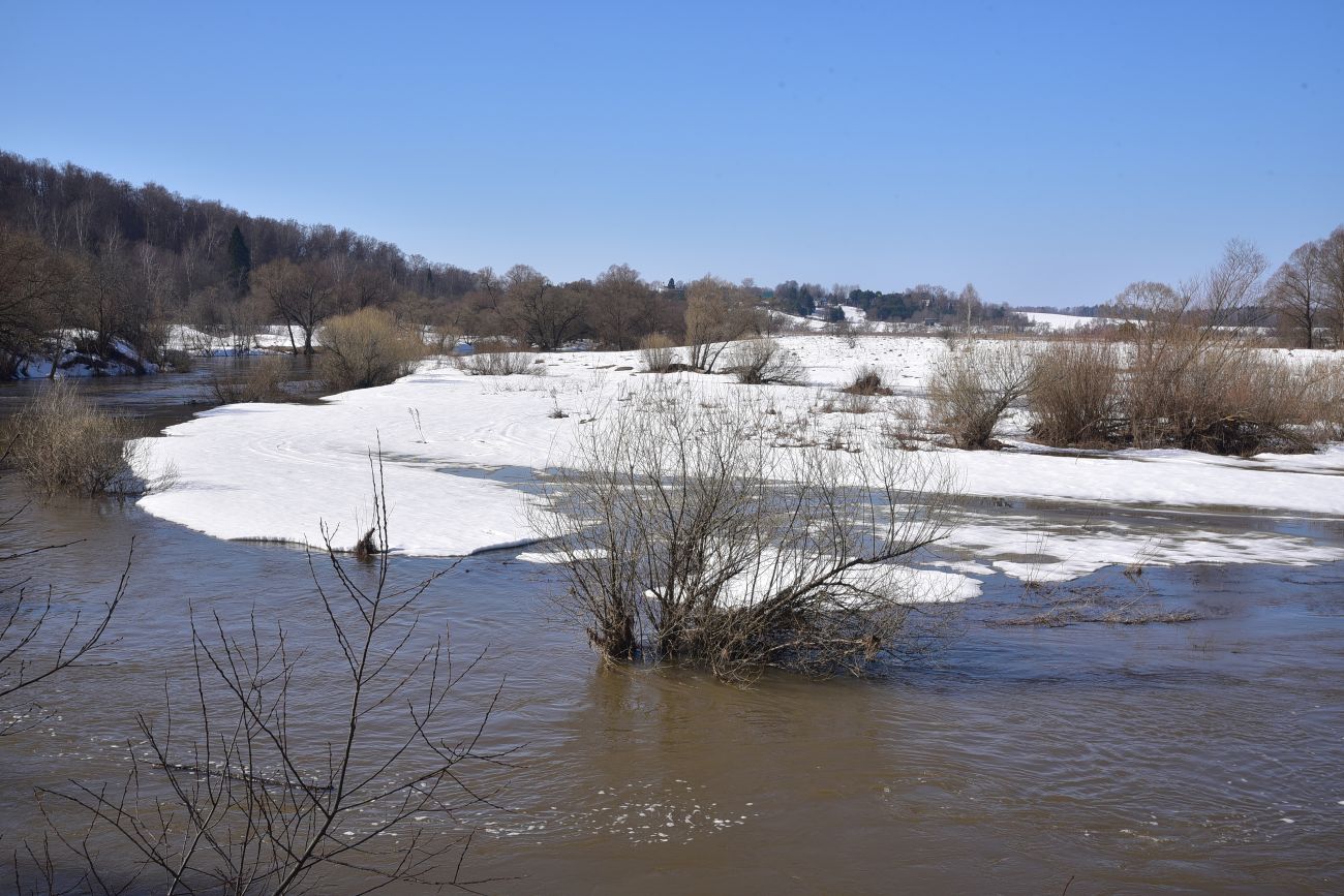 Окрестности деревни Беницы, image of landscape/habitat.