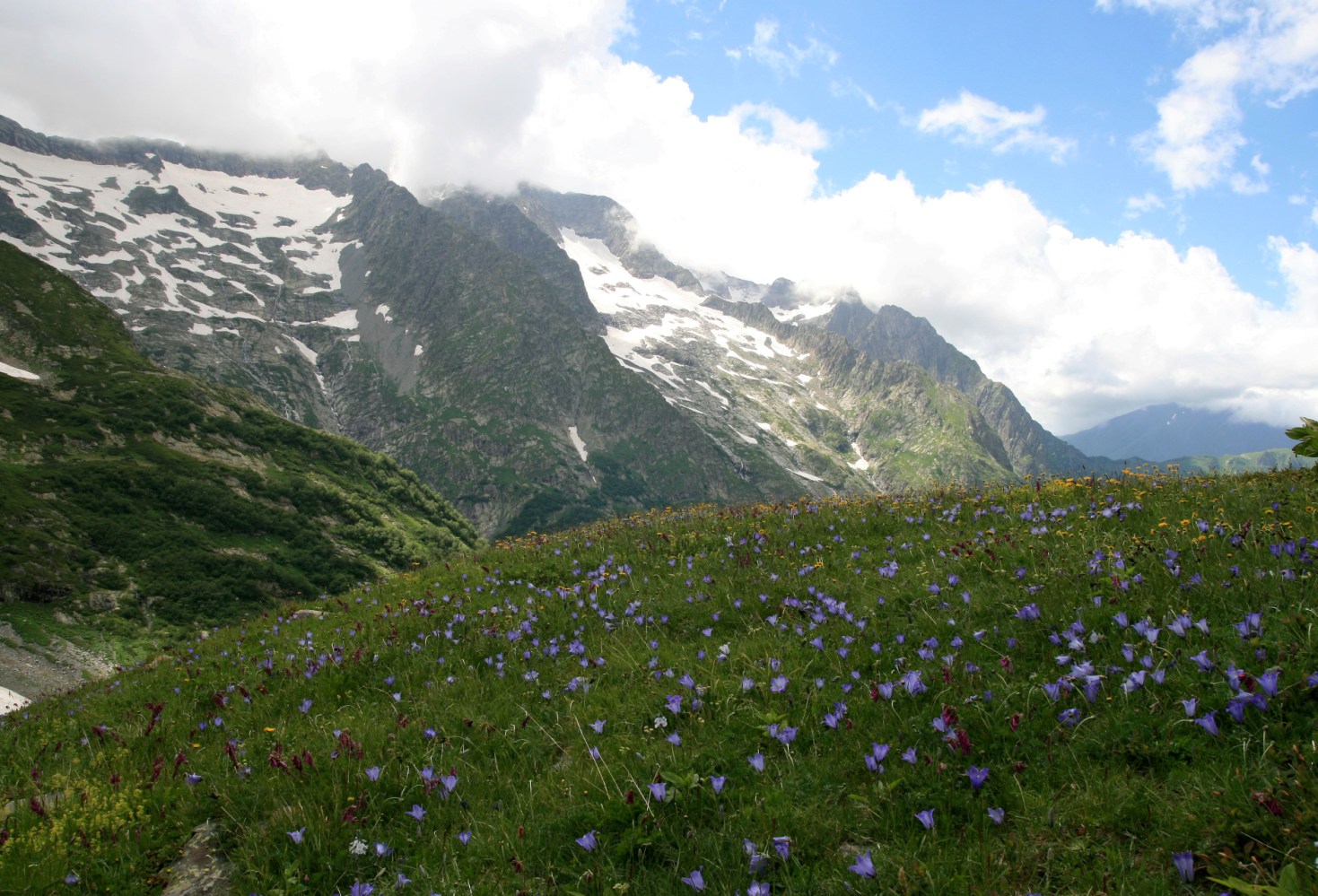 Долина реки Чессу, image of landscape/habitat.