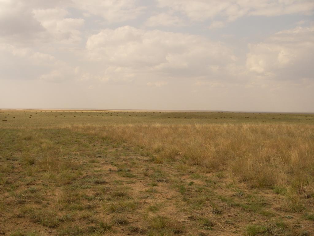 Зимовка Таскора, image of landscape/habitat.