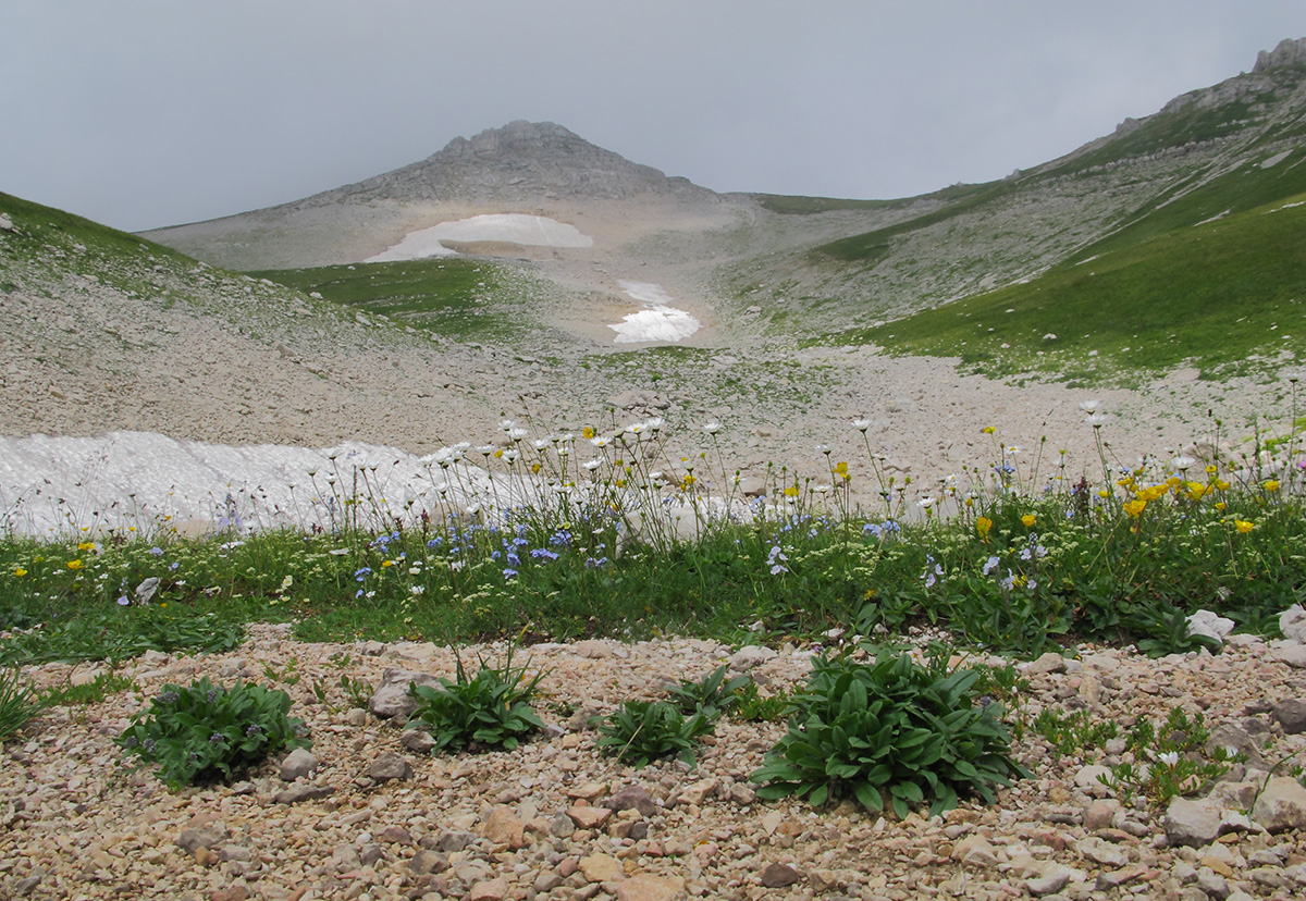 Юго-восточный отрог Оштена, image of landscape/habitat.