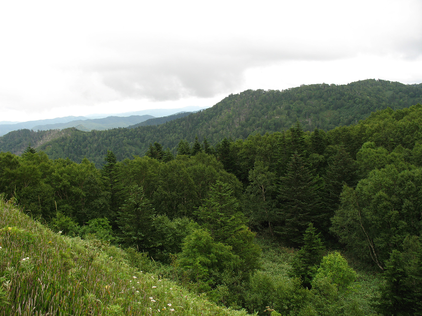 Калым, image of landscape/habitat.