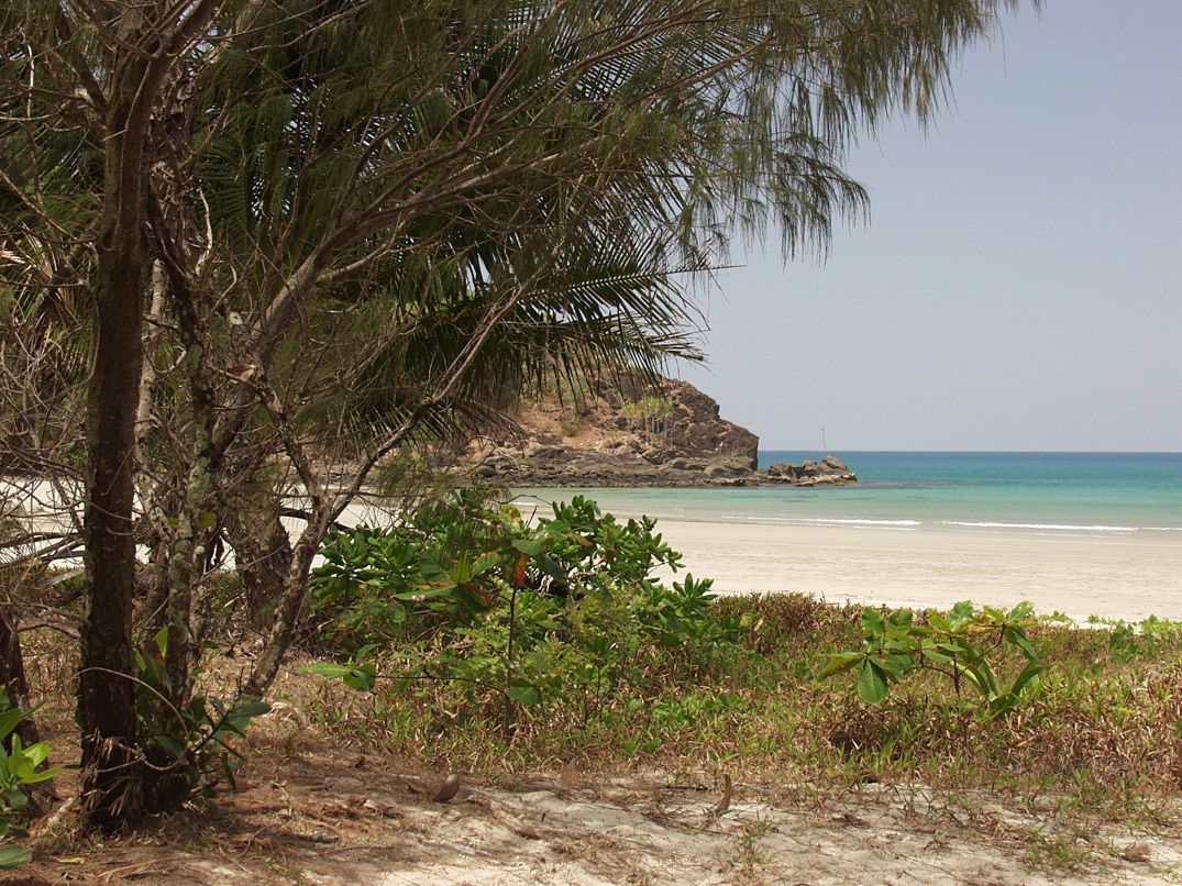 Cape Tribulation, изображение ландшафта.