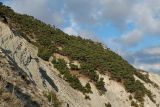 Image of landscape