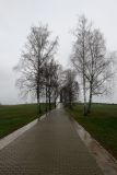 Image of landscape