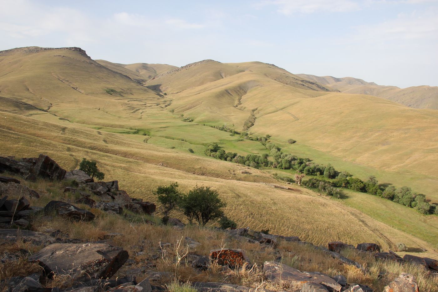 Устуксай, image of landscape/habitat.