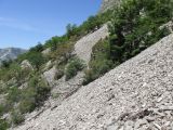 Сулакский каньон, image of landscape/habitat.