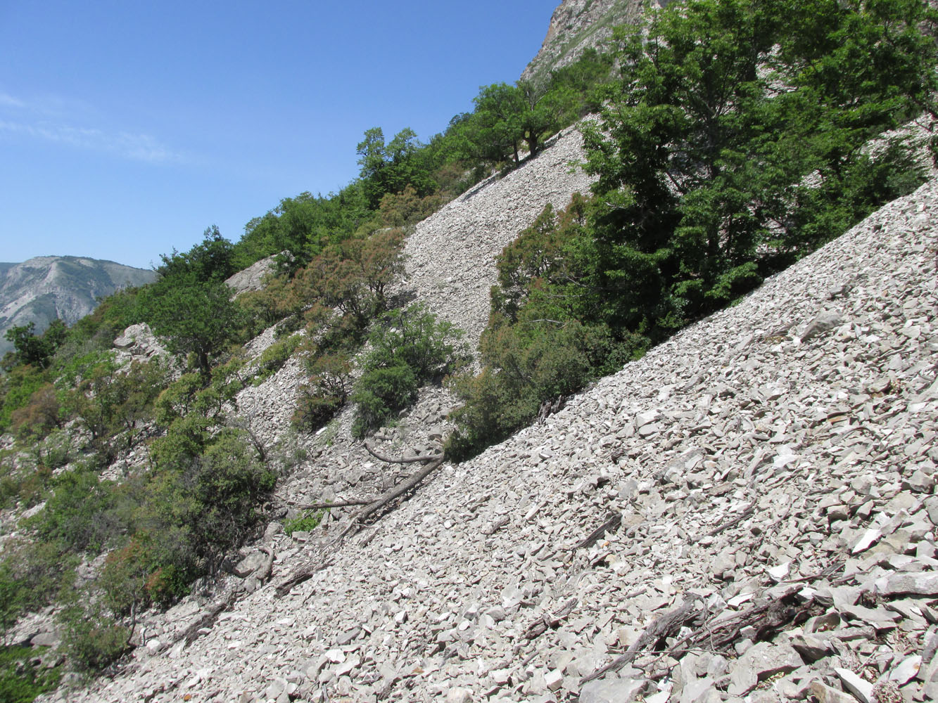 Сулакский каньон, image of landscape/habitat.