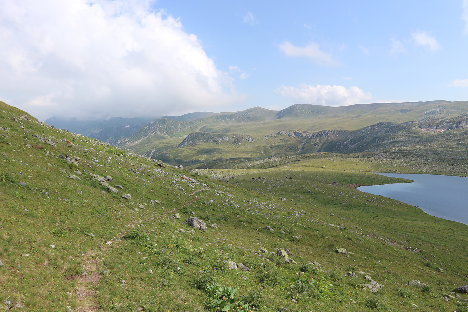 Гора Загедан Скала, image of landscape/habitat.