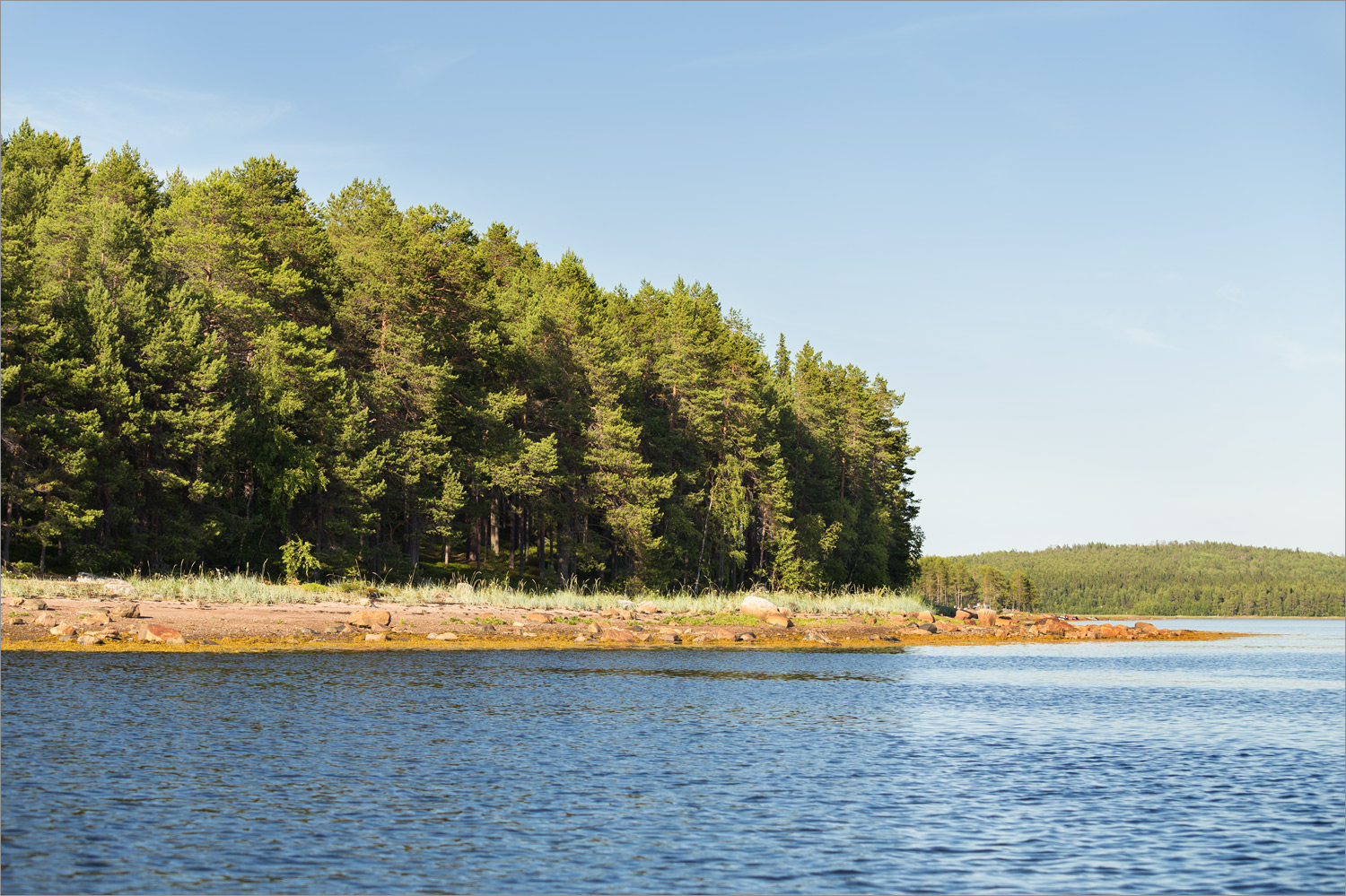 Матрёнин остров, image of landscape/habitat.