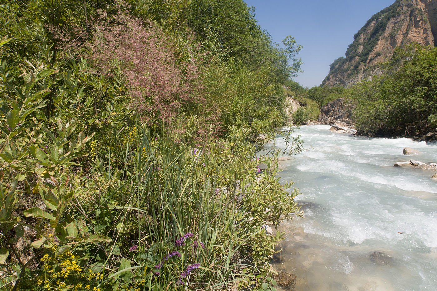 Хазнидонская теснина, image of landscape/habitat.
