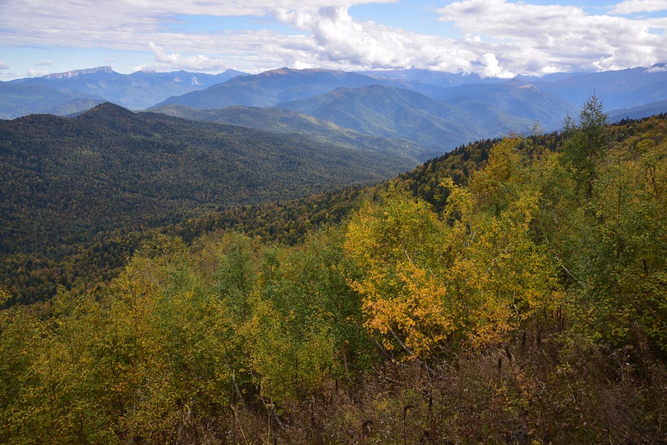 Каменное Море, image of landscape/habitat.