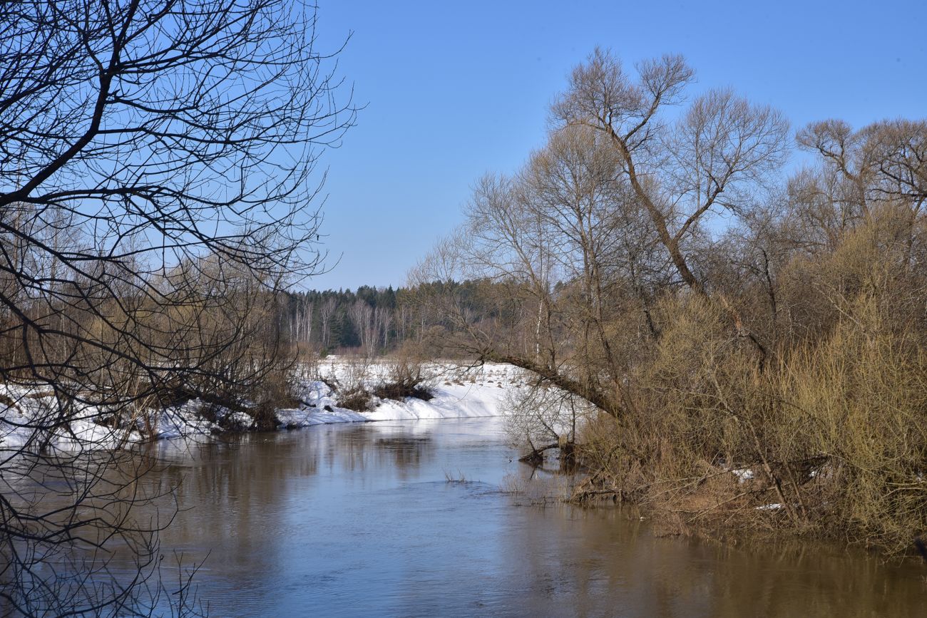Окрестности деревни Беницы, image of landscape/habitat.