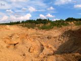 Песчаный карьер "Рутковское", image of landscape/habitat.