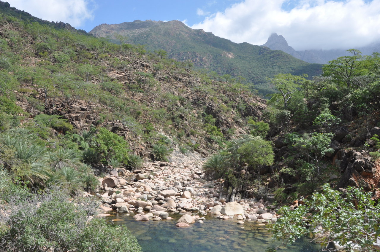 Вади Айхафт, image of landscape/habitat.