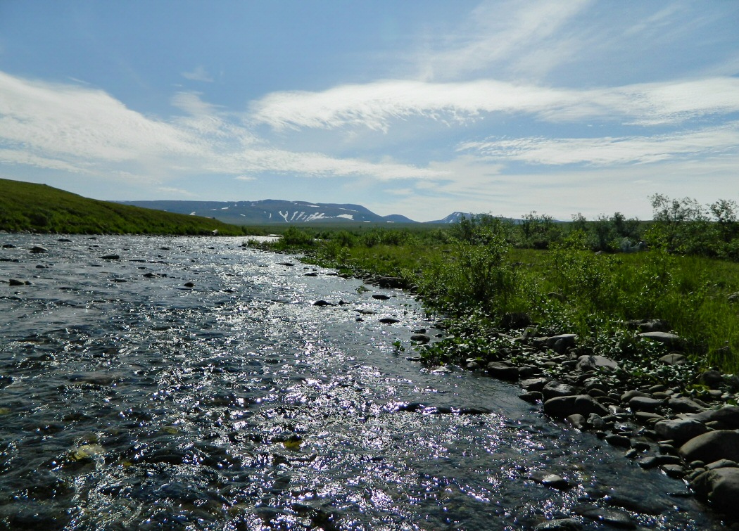 Верховье Юнъяхи, image of landscape/habitat.