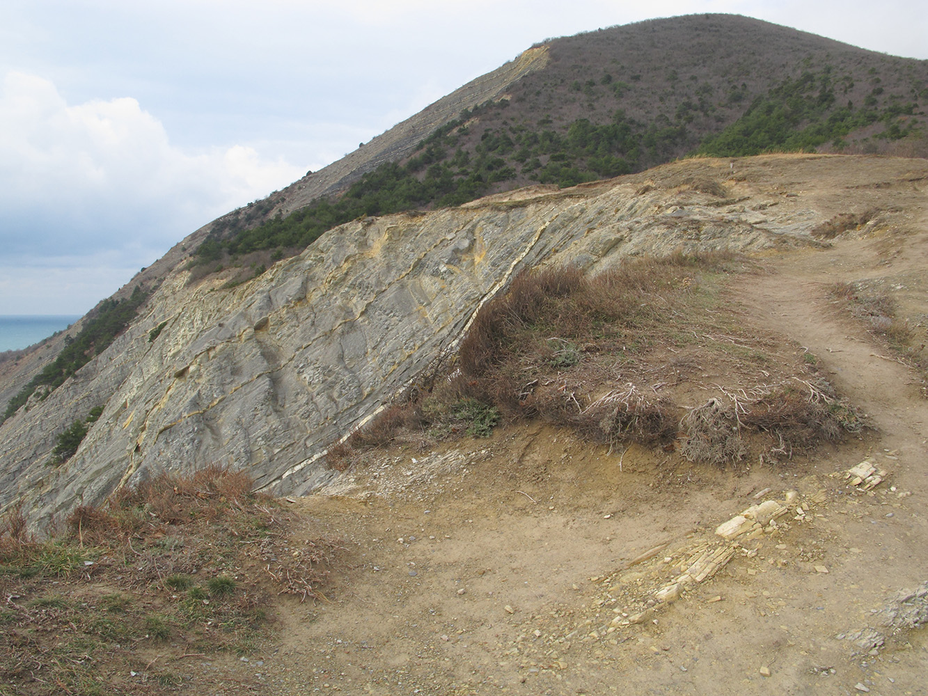 Гора Колдун, image of landscape/habitat.