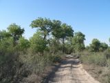 Image of landscape